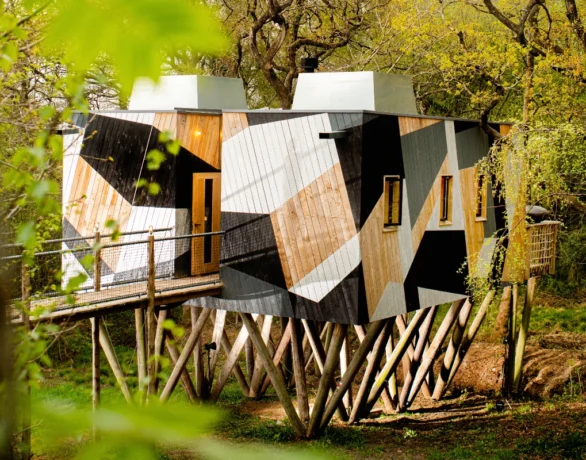 Dazzle Treehouse